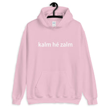 kalm he zalm Hoodie - Antwerp Only