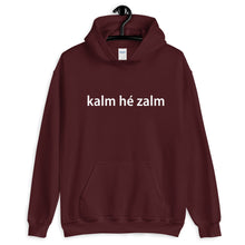 kalm he zalm Hoodie - Antwerp Only