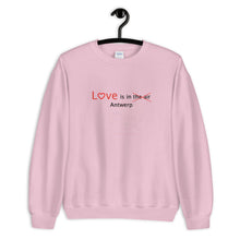 Love Antwerp Sweater - Antwerp Only