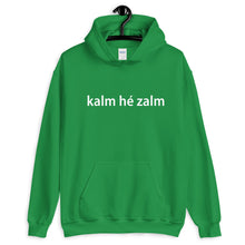 kalm he zalm Hoodie - Antwerp Only