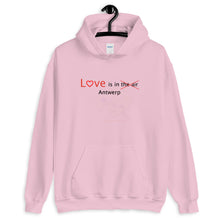 Love Antwerp Hoodie - Antwerp Only