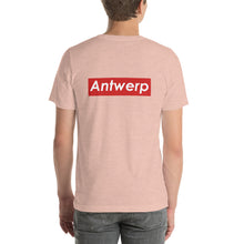 Koala mannen T-Shirt - Antwerp Only
