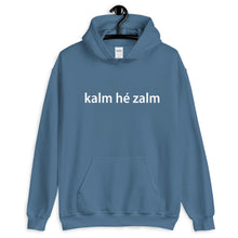 kalm he zalm Hoodie - Antwerp Only